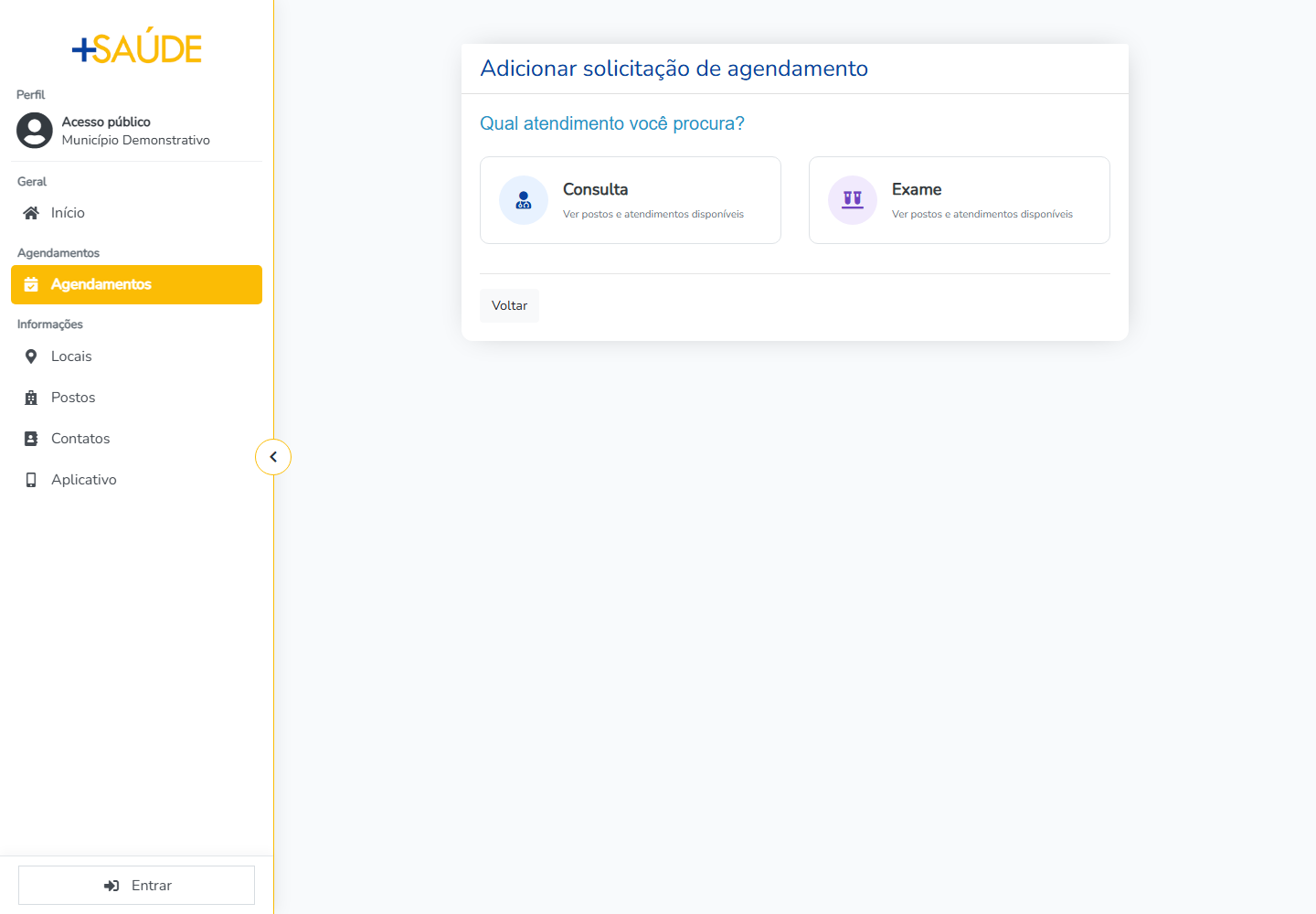 Escolha do tipo no portal público no ambiente demonstrativo do +Saúde